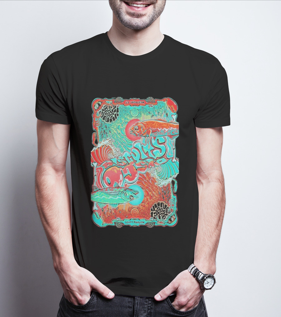 The Disco Biscuits Westport CT June 13 2026 Levitt Pavilion T-Shirt