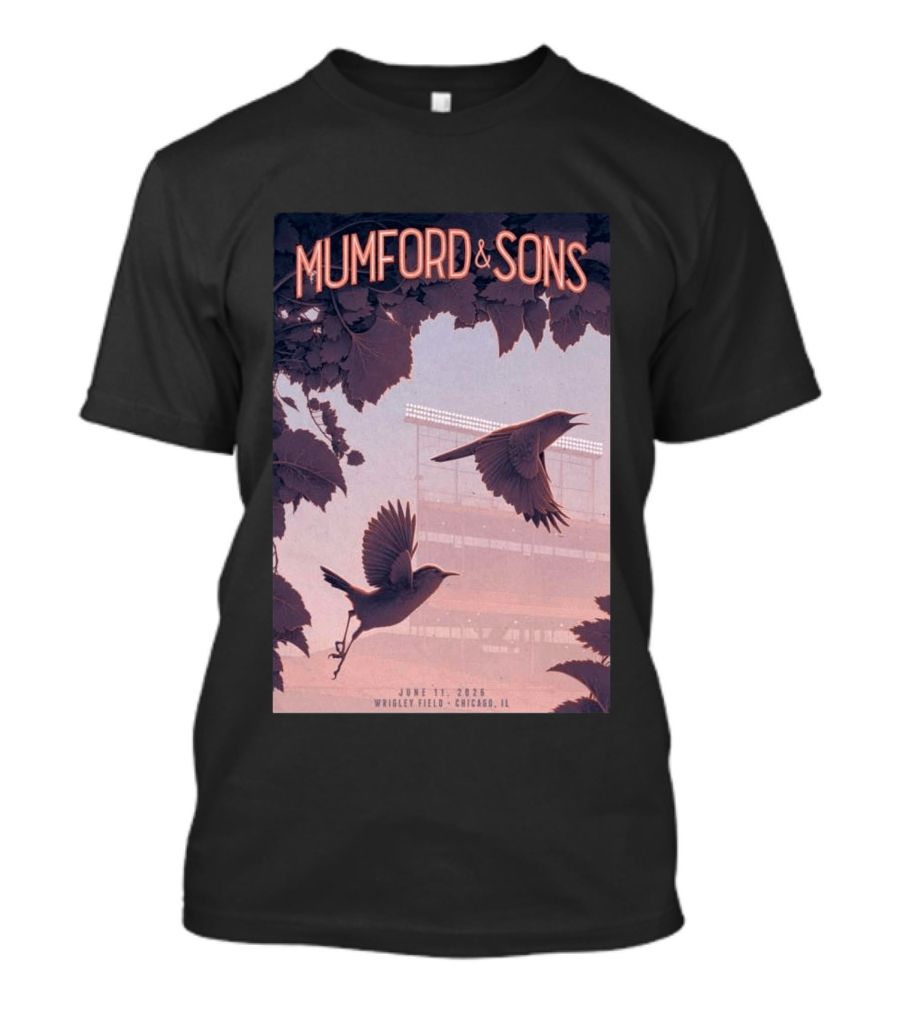 Mumford And Sons Wrigley Field Chicago June 11 2026 T-Shirt