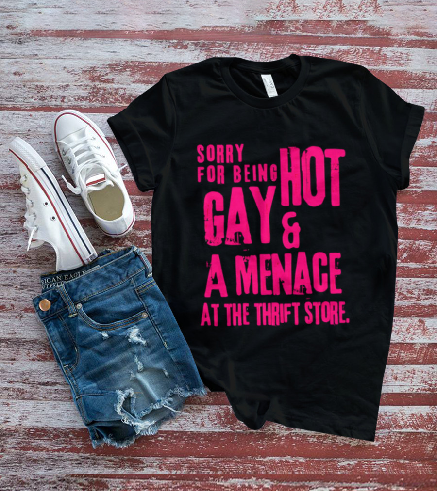 Sorry For Being Hot Gay And A Menace At The Thrift Store T-Shirt
