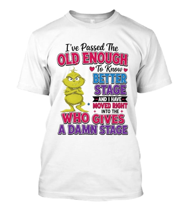Passed The Old Enough To Know Better Moved Right Into The Who Gives A Damn Stage T-Shirt
