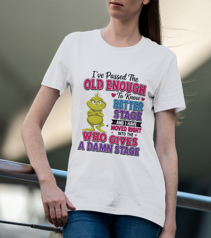 Passed The Old Enough To Know Better Moved Right Into The Who Gives A Damn Stage T-Shirt