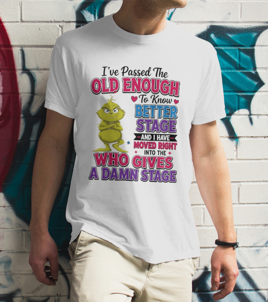 Passed The Old Enough To Know Better Moved Right Into The Who Gives A Damn Stage T-Shirt
