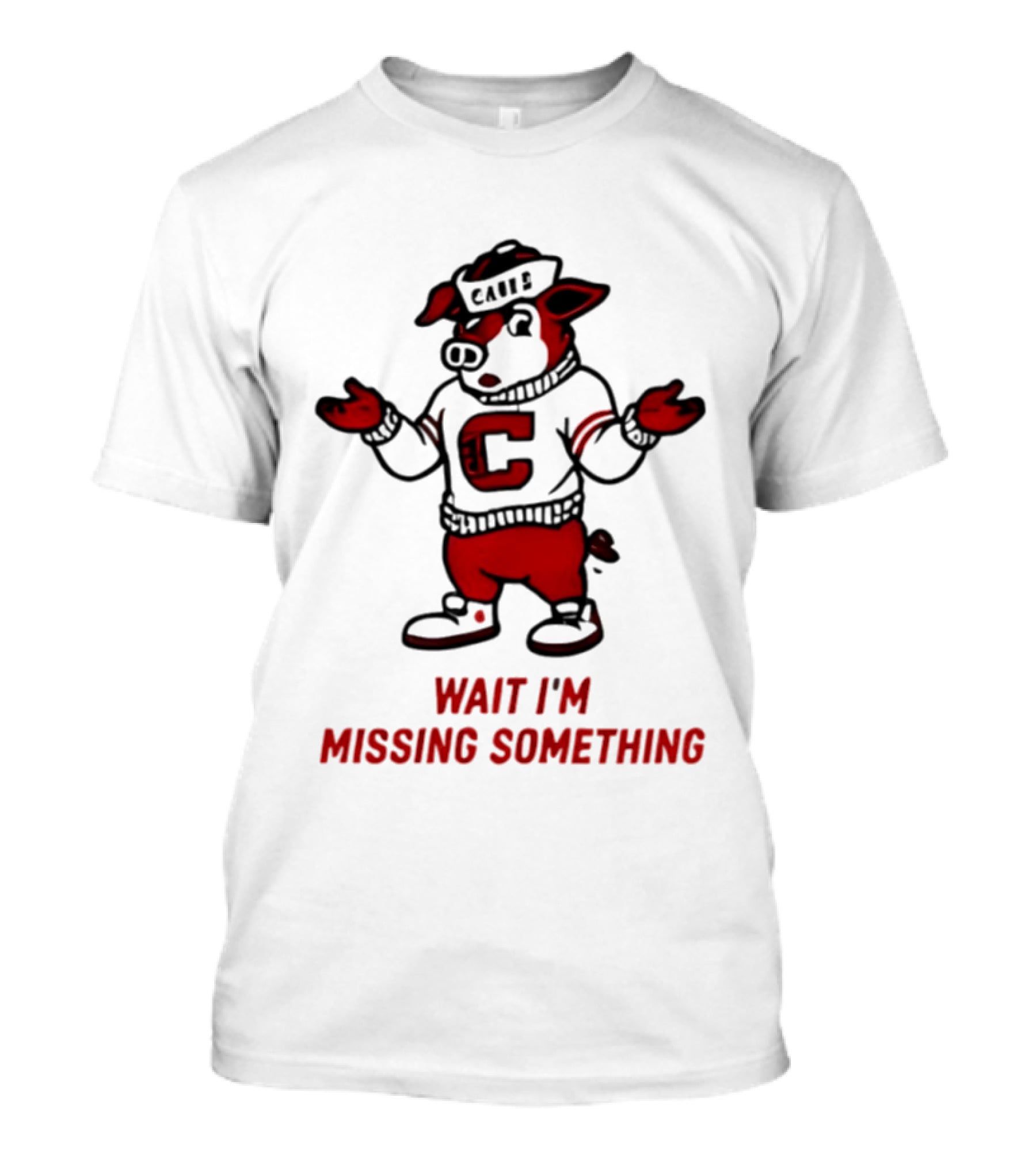 Carolina Hurricanes Wait I'm Missing Something 2026 NHL Hockey C Sweater Pig T-Shirt