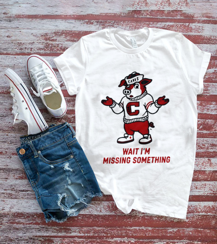 Carolina Hurricanes Wait I'm Missing Something 2026 NHL Hockey C Sweater Pig T-Shirt