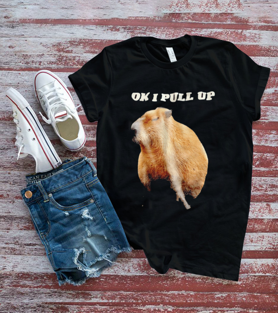 Ok I Pull Up Capybara Meme T-Shirt