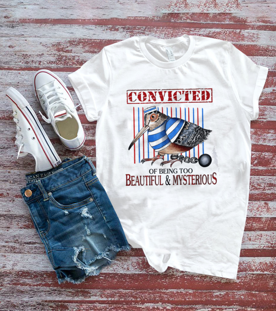 Convicted Of Being Too Beautiful And Mysterious Bird Prisoner Stripes T-Shirt
