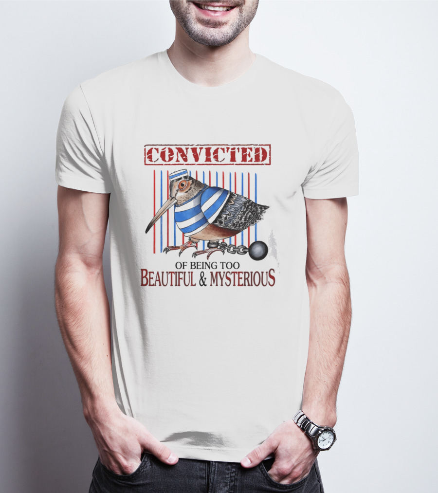 Convicted Of Being Too Beautiful And Mysterious Bird Prisoner Stripes T-Shirt