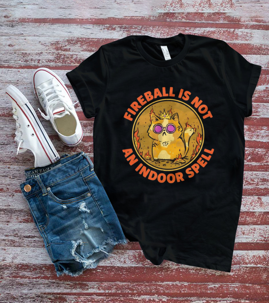 Princess Donut Fireball Is Not An Indoor Spell Dungeon Crawler Carl T-Shirt