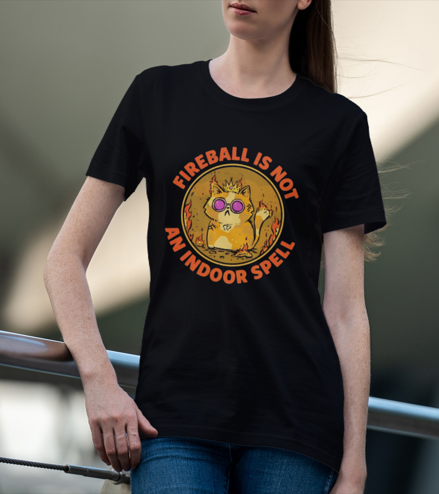 Princess Donut Fireball Is Not An Indoor Spell Dungeon Crawler Carl T-Shirt