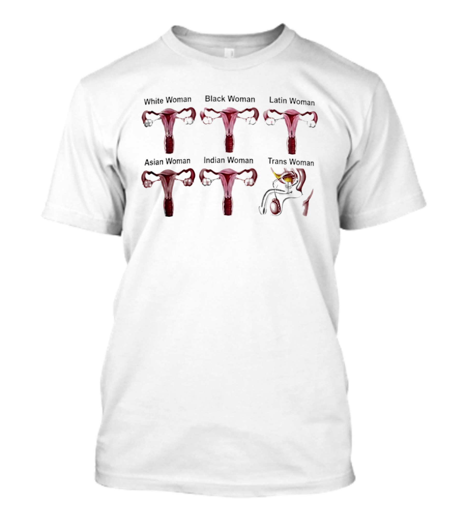 White Black Latin Asian Indian Trans Woman Anatomy Comparison T-Shirt