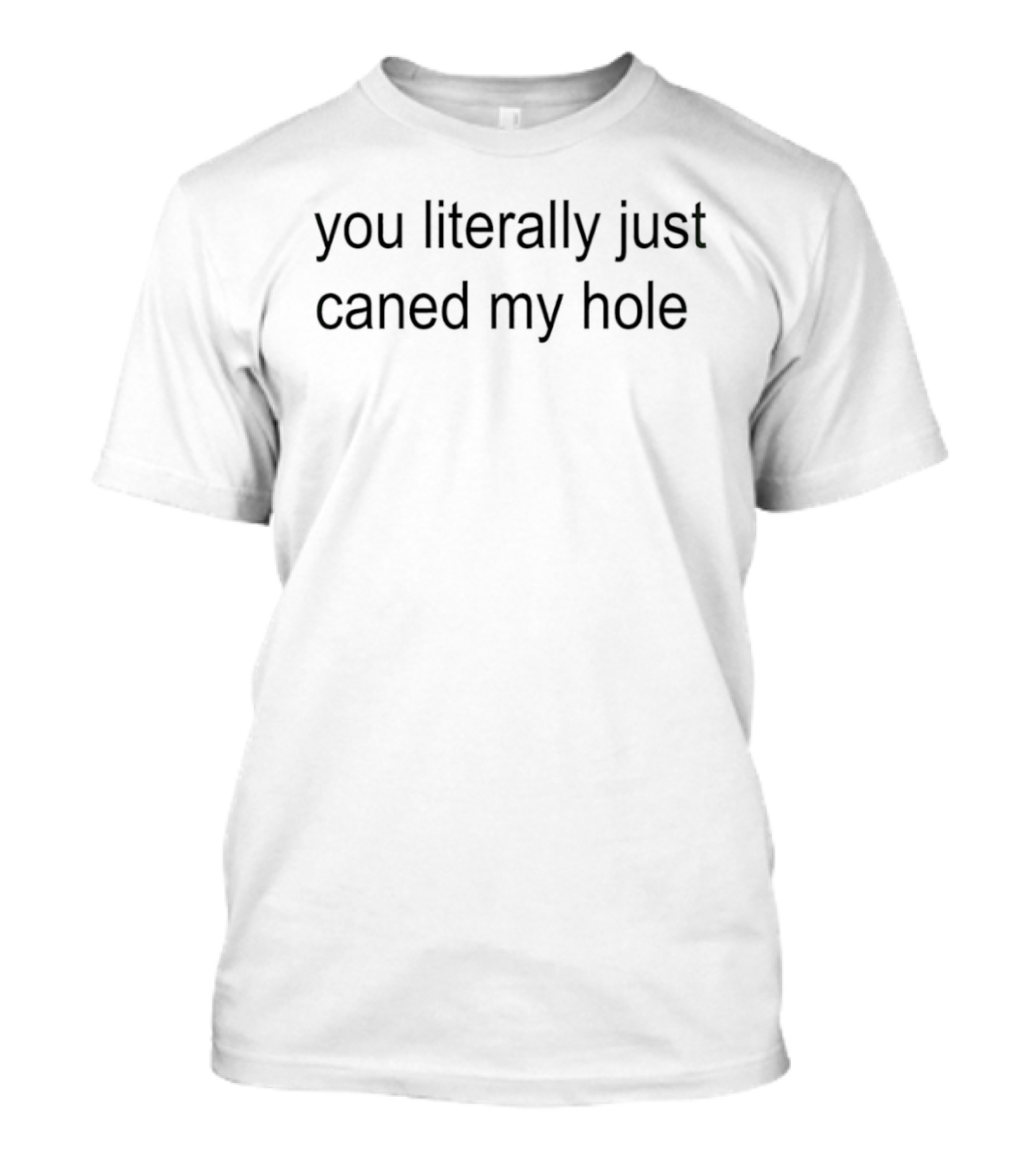 You Literally Just Caned My Hole Phrase T-Shirt