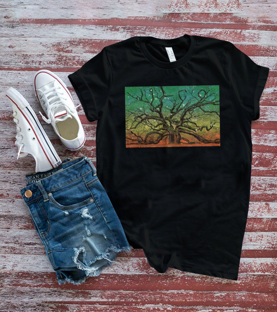 Wilco Sky Stars Charleston July 2026 T-Shirt