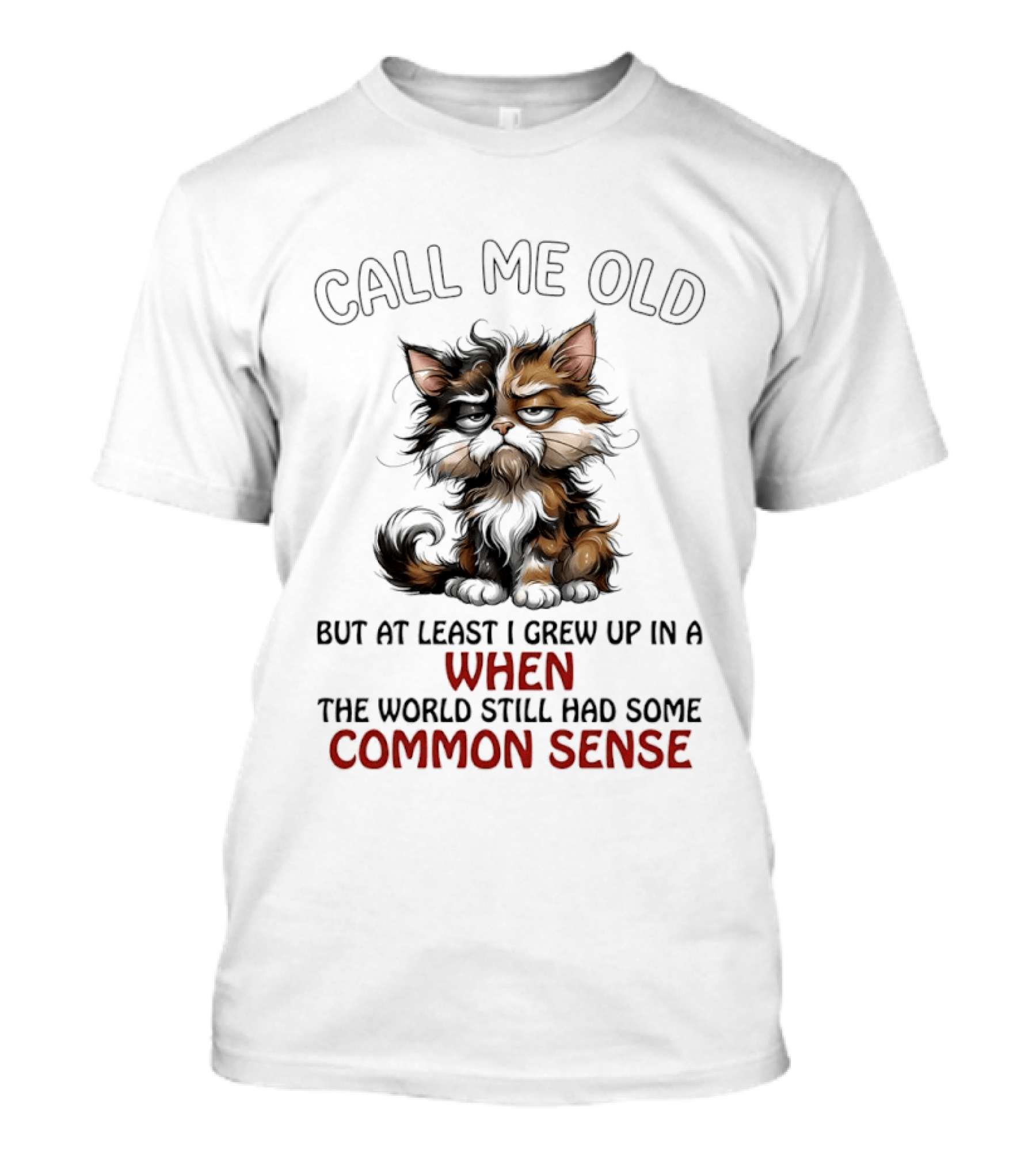 Call Me Old But At Least I Grew Up In A Time When The World Still Had Some Common Sense Cat T-Shirt