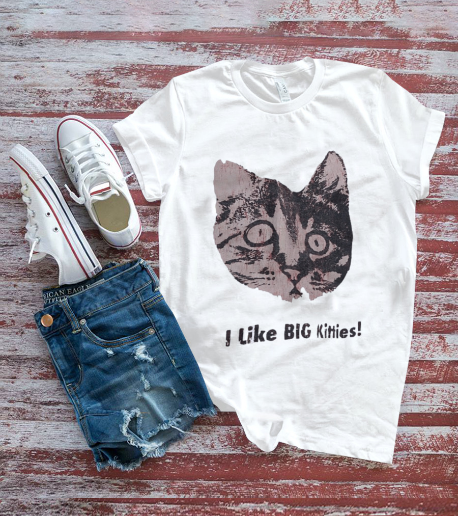 I Like Big Kitties Cat Lover Feline Enthusiast Funny Display T-Shirt