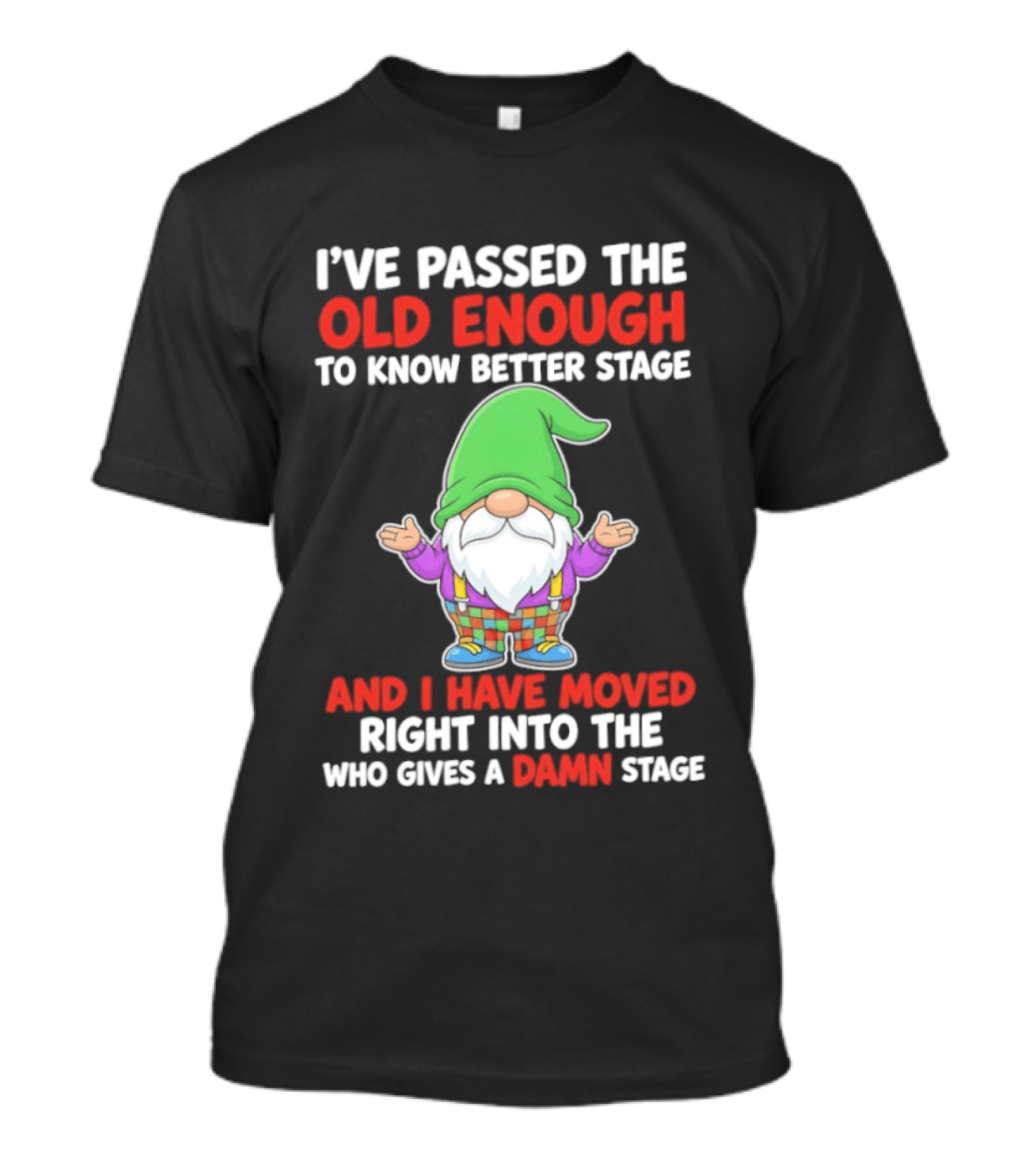 I've Passed The Old Enough To Know Better Gnome And Moved Into Who Gives A Damn Stage T-Shirt