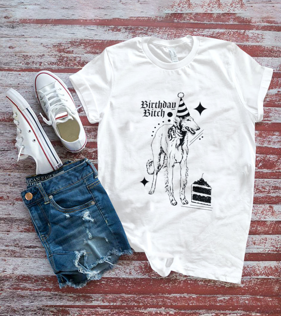 Birthday Bitch Dog Party Hat Cake Celebration Fun T-Shirt
