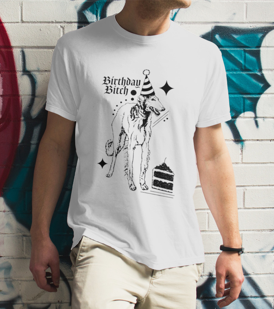 Birthday Bitch Dog Party Hat Cake Celebration Fun T-Shirt