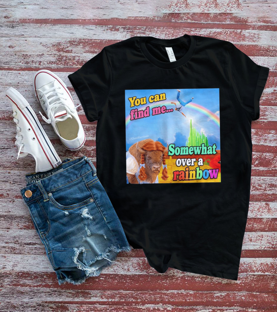 You Can Find Me Somewhat Over A Rainbow Bison Meme T-Shirt