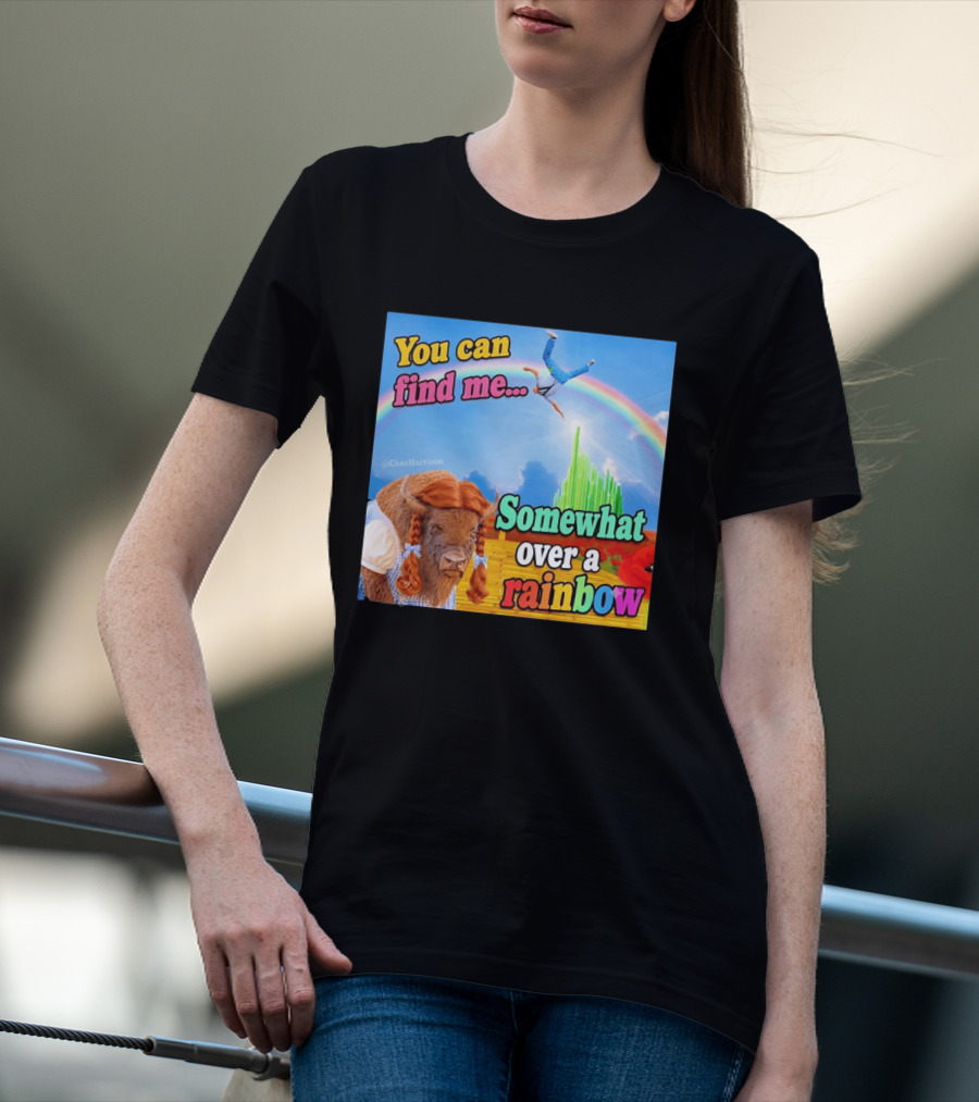 You Can Find Me Somewhat Over A Rainbow Bison Meme T-Shirt