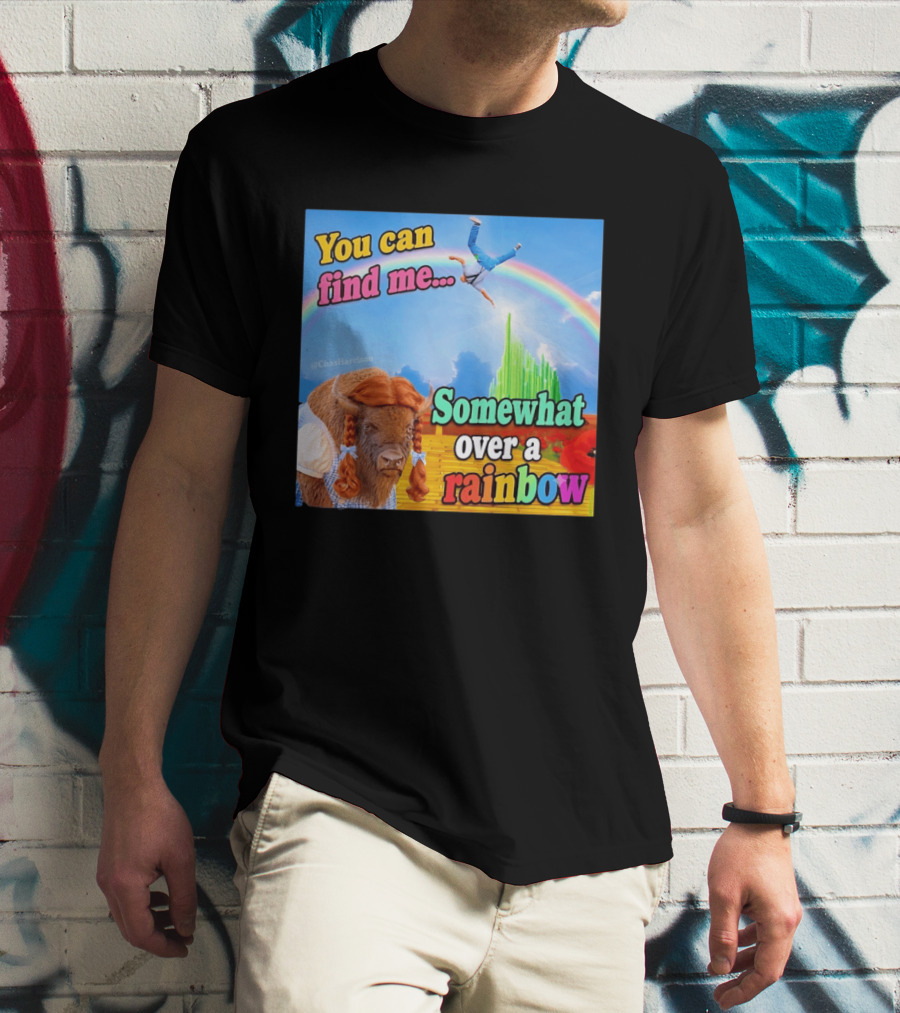 You Can Find Me Somewhat Over A Rainbow Bison Meme T-Shirt
