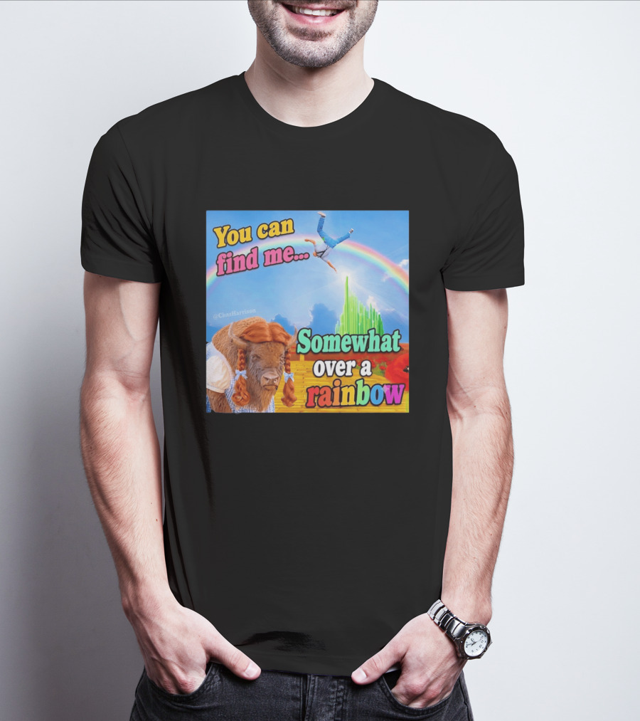 You Can Find Me Somewhat Over A Rainbow Bison Meme T-Shirt