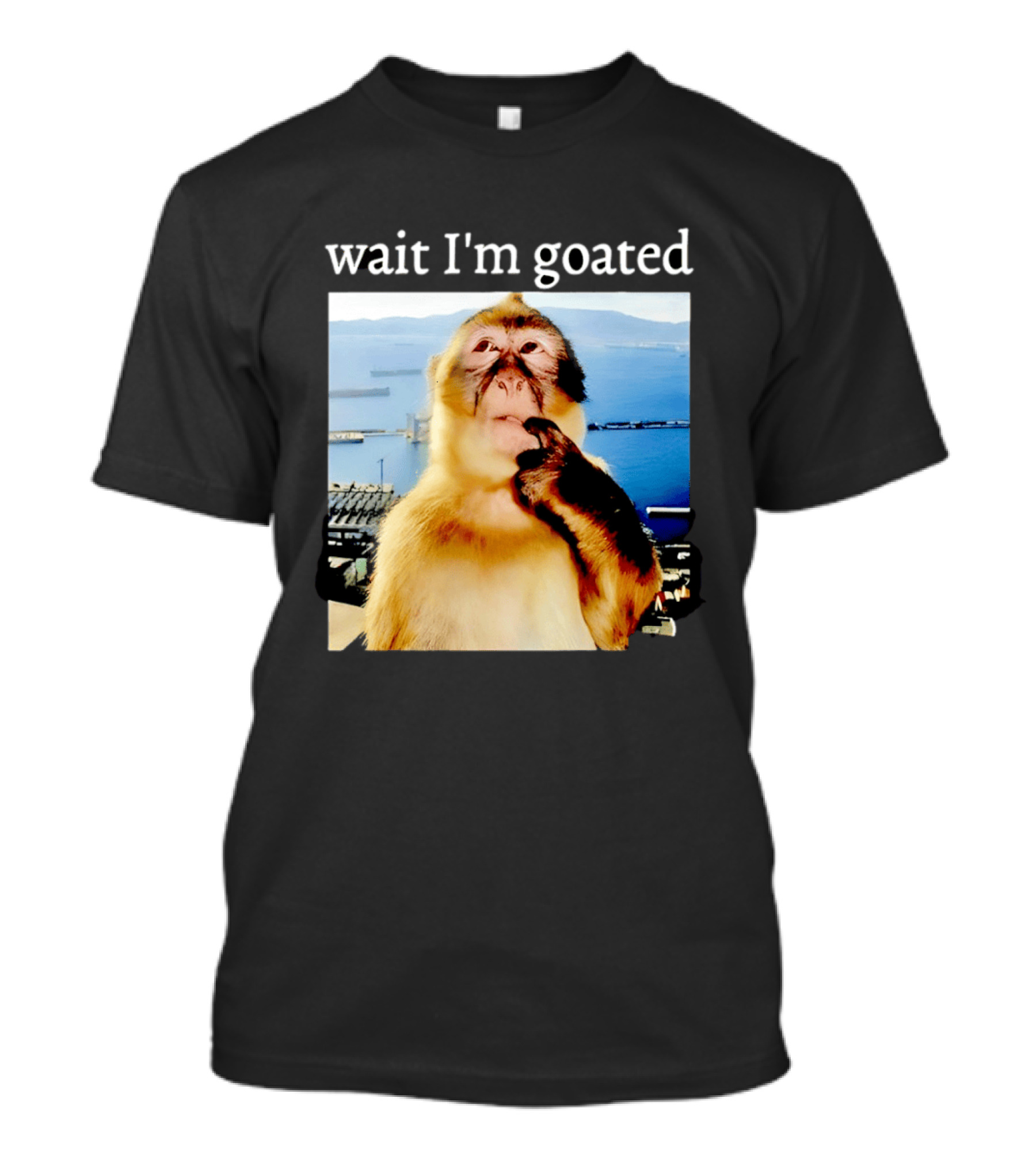 Wait I'm Goated Monkey Meme Coastal View Playful Expression T-Shirt