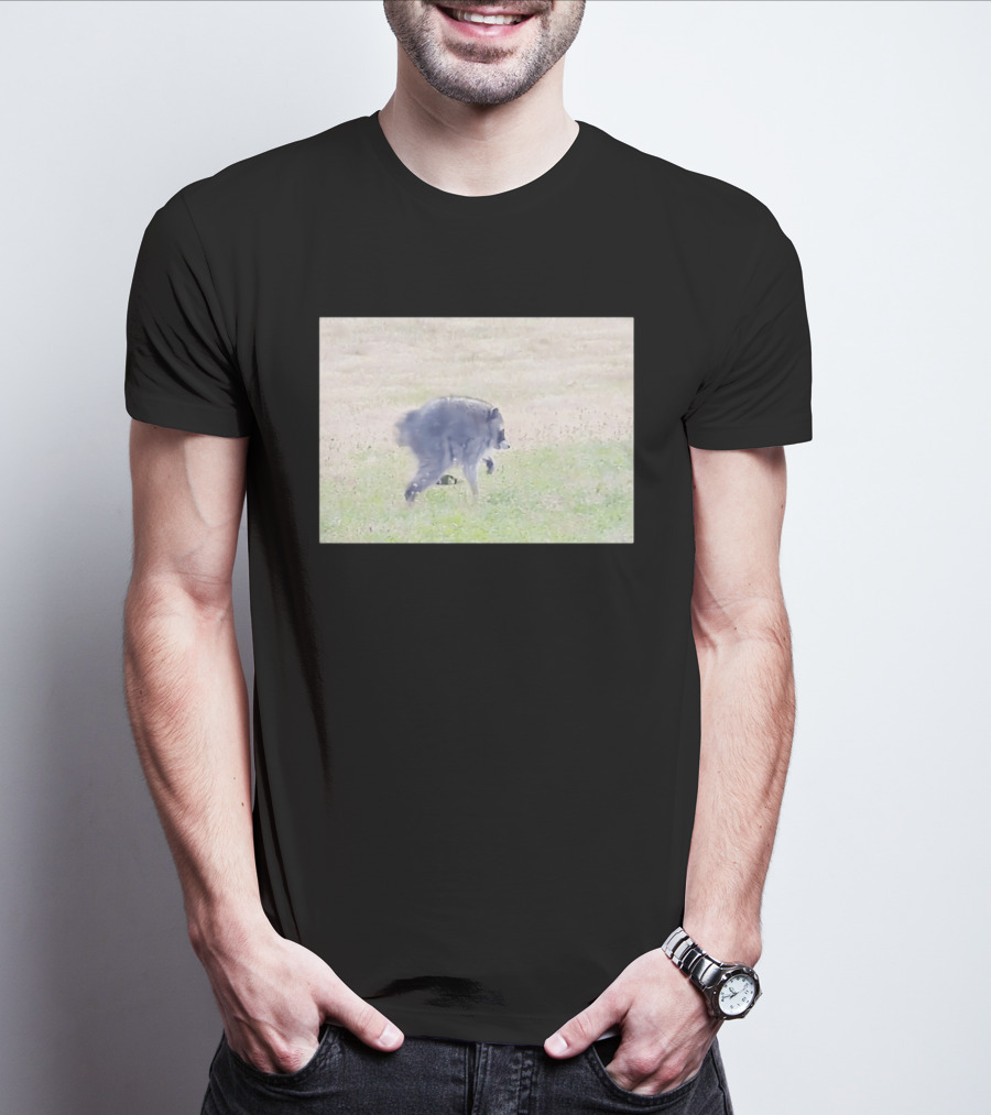 Jimothy Raccoon Walking In Grassy Field Wildlife Scene T-Shirt