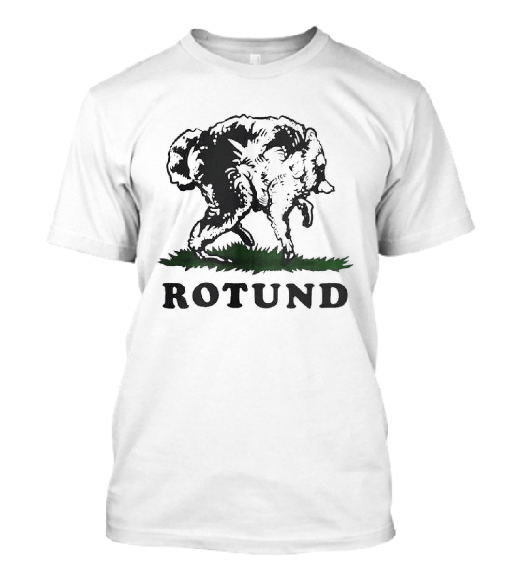Rotund Jimothy Bear Flag T-Shirt