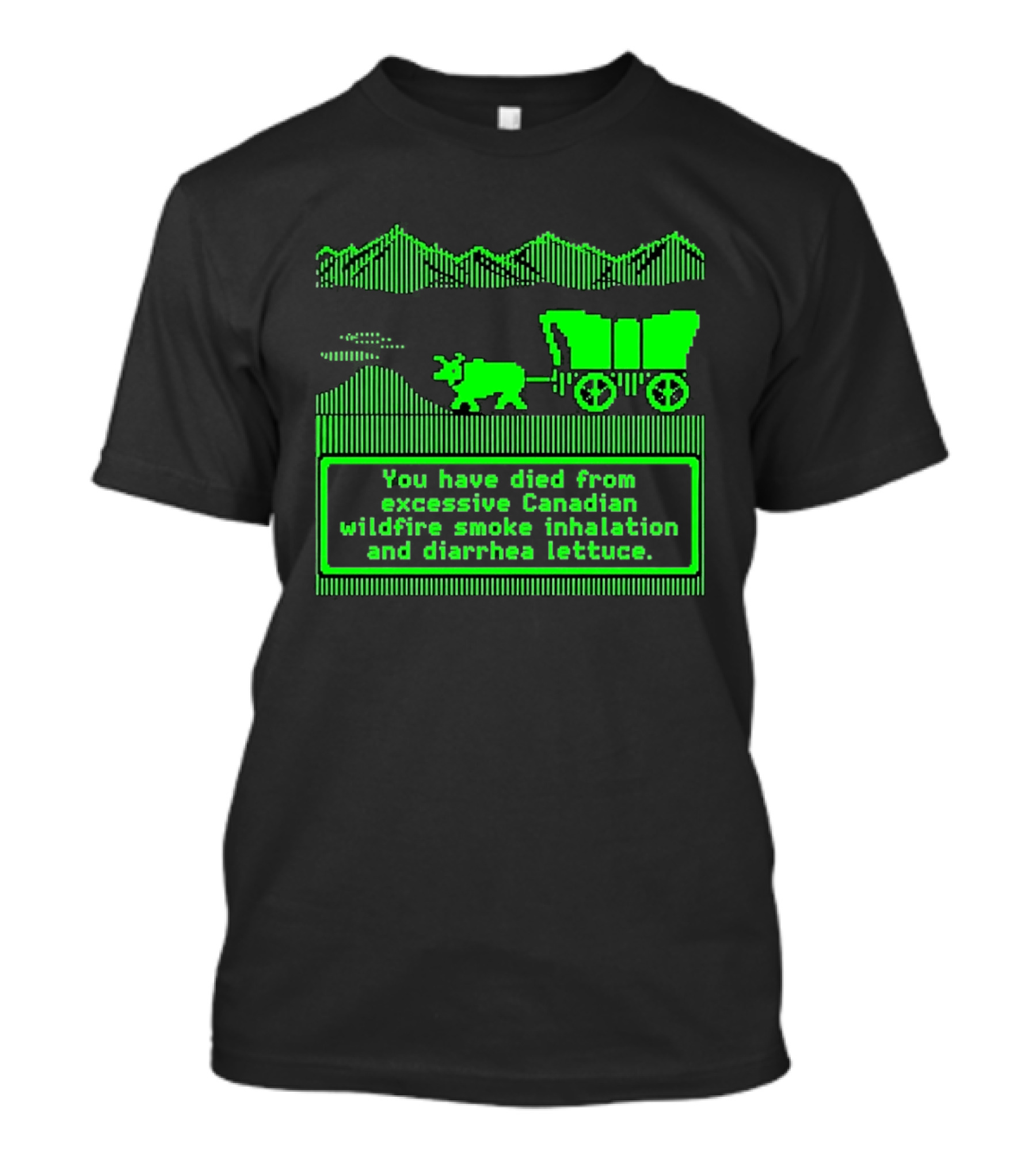 Oregon Trail You Have Died From Excessive Canadian Wildfire Smoke Inhalation And Diarrhea Lettuce T-Shirt