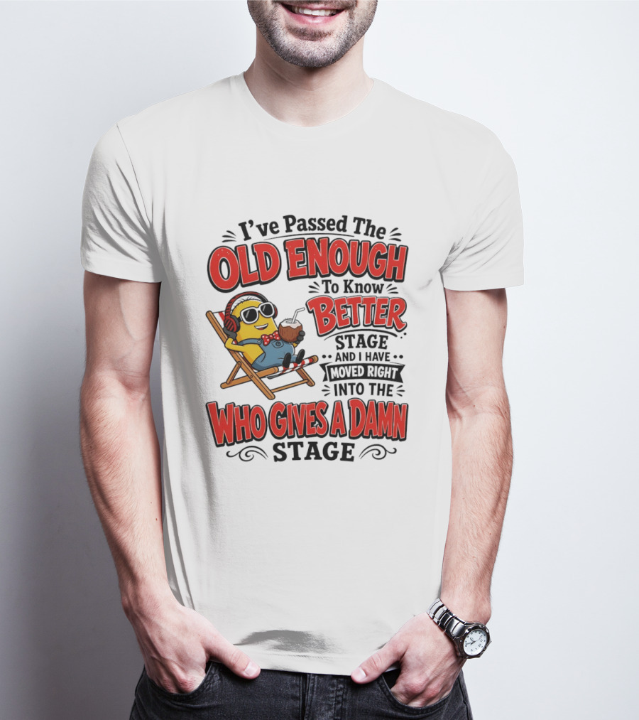 Minion I've Passed The Old Enough To Know Better Stage Who Gives A Damn Stage T-Shirt
