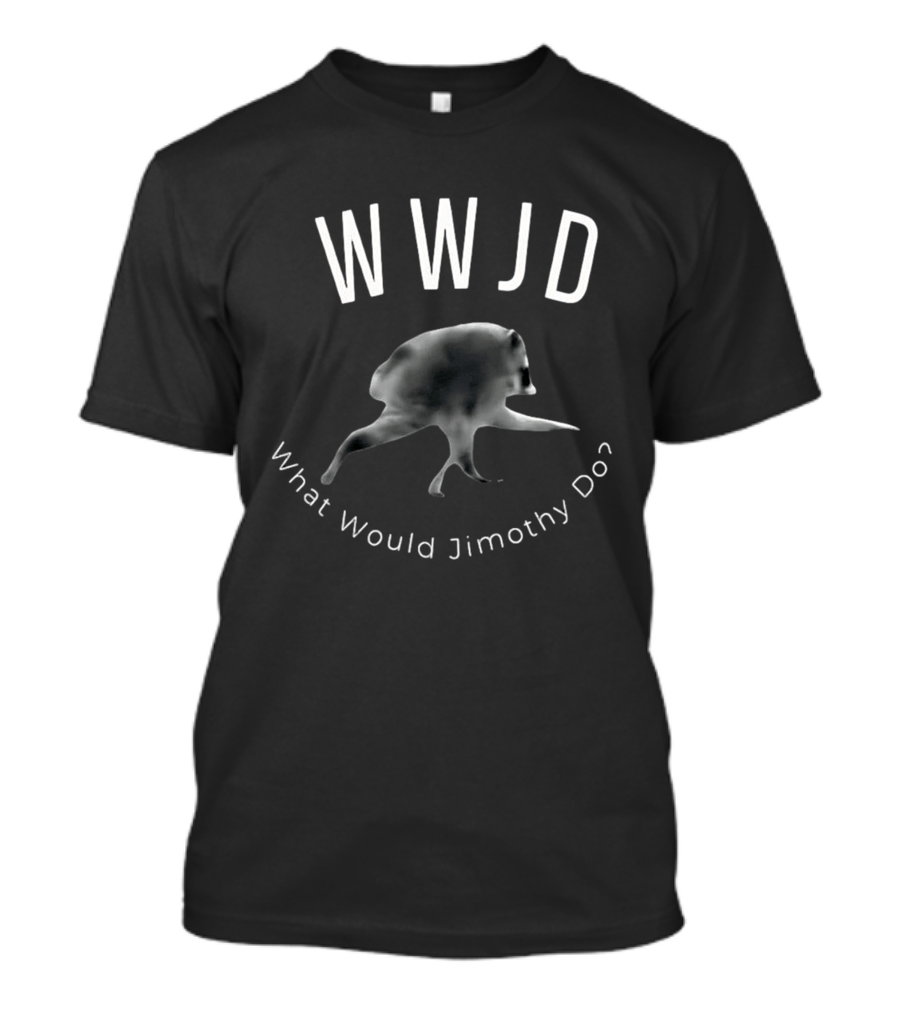 WWJD What Would Jimothy Do Raccoon Meme T-Shirt