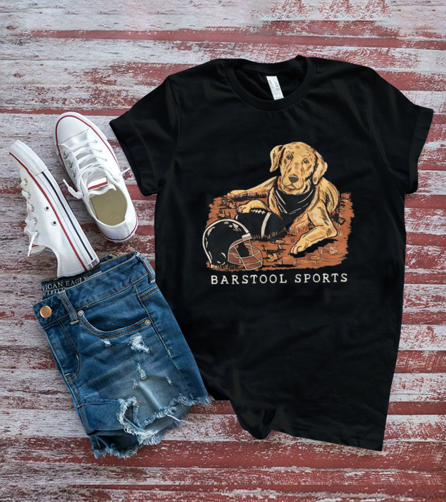 Barstool Sports Fall Football Dog With Helmet And Leaves T-Shirt