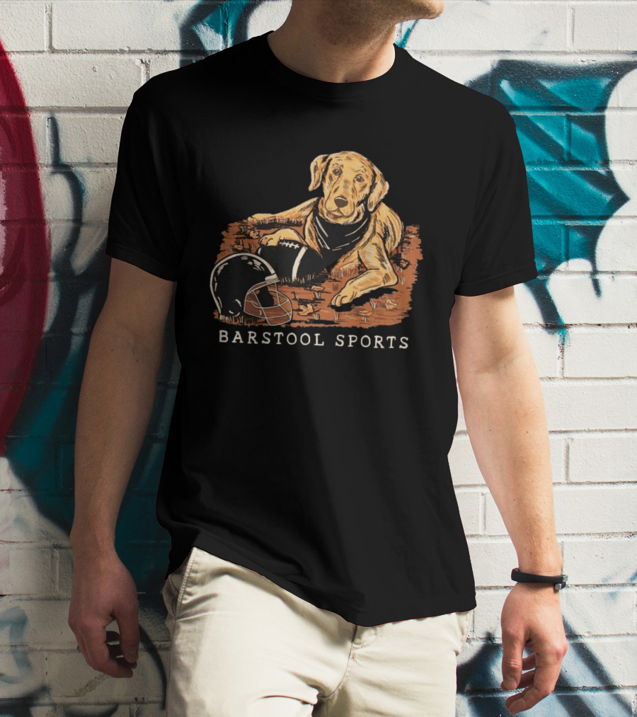 Barstool Sports Fall Football Dog With Helmet And Leaves T-Shirt