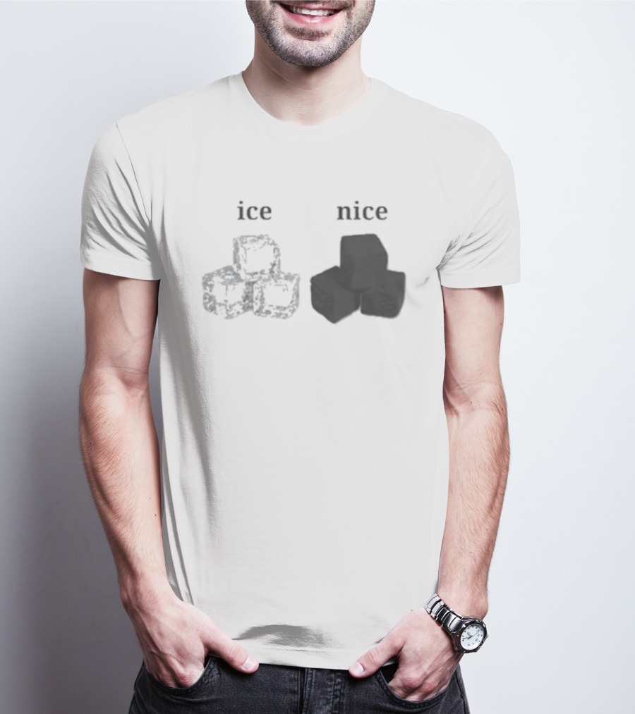 Ice Vs Nice Cubes Playful Word T-Shirt