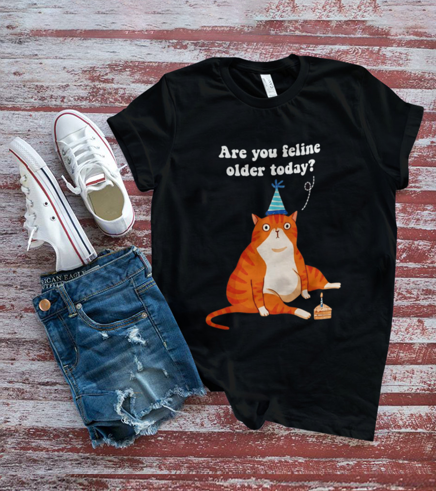 Are You Feline Older Today Birthday Cat With Party Hat And Cake T-Shirt