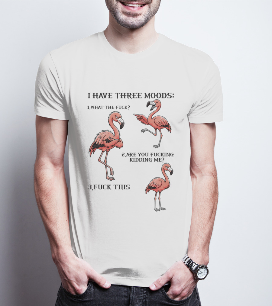 I Have Three Moods What The Fuck Are You Fucking Kidding Me Fuck This Flamingo T-Shirt