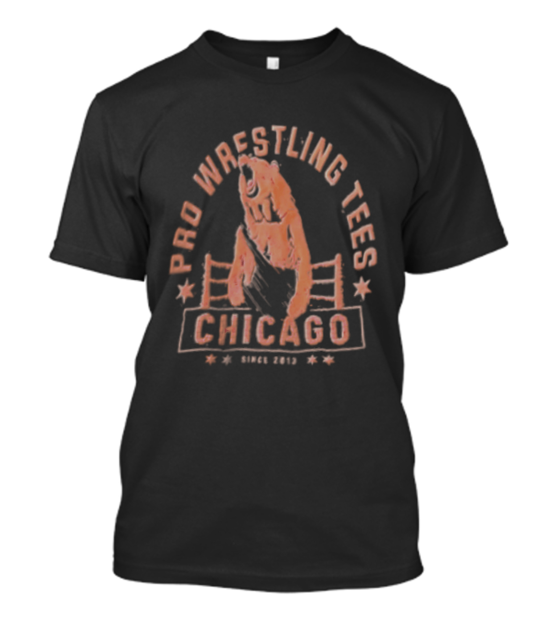 Pro Wrestling Tees Chicago Bear Wrestling Ring Since 2013 T-Shirt