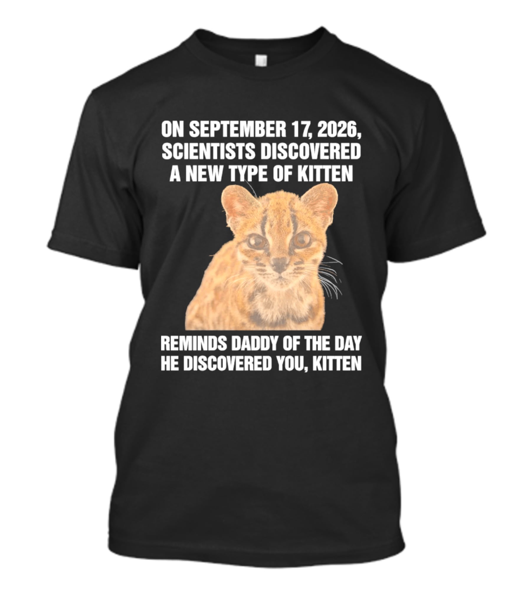 On September 17 2026 Scientists Discovered A New Type Of Kitten Reminds Daddy Of The Day He Discovered You Kitten T-Shirt