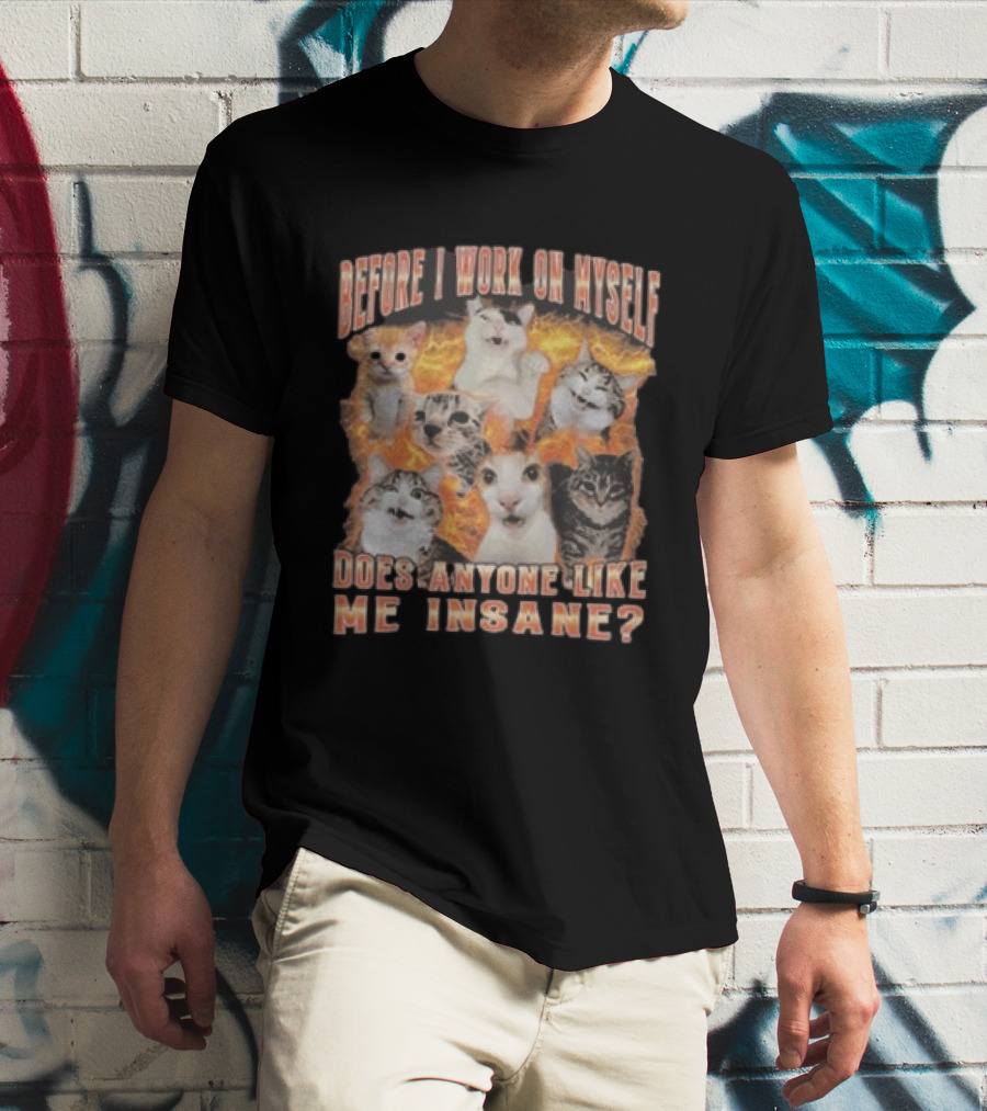 Before I Work On Myself Does Anyone Like Me Insane Cats T-Shirt