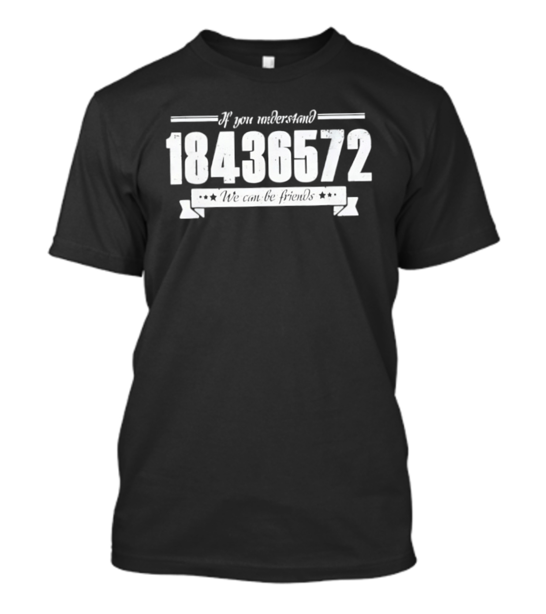 If You Understand 18436572 We Can Be Friends T-Shirt