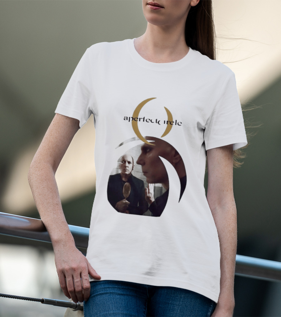 A Perfect Circle 2026 Tour Image With Band Members T-Shirt