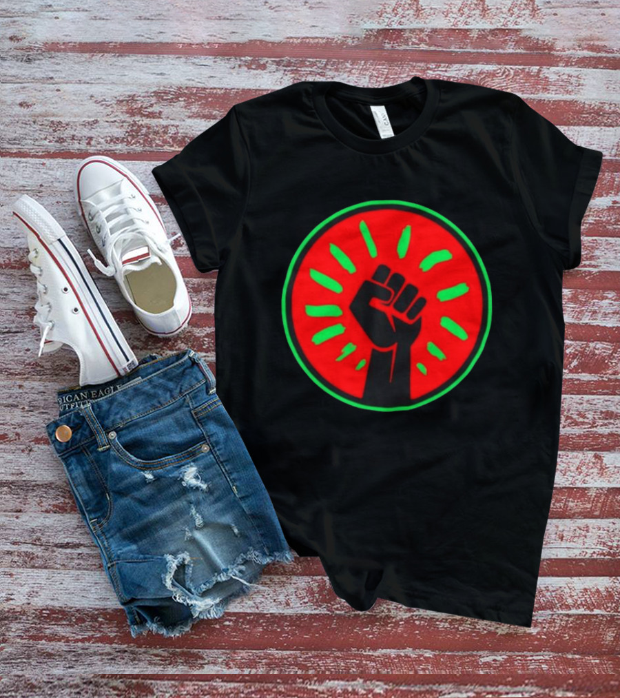 Pan African Flag Black Power Fist Resistance Unity Liberation T-Shirt
