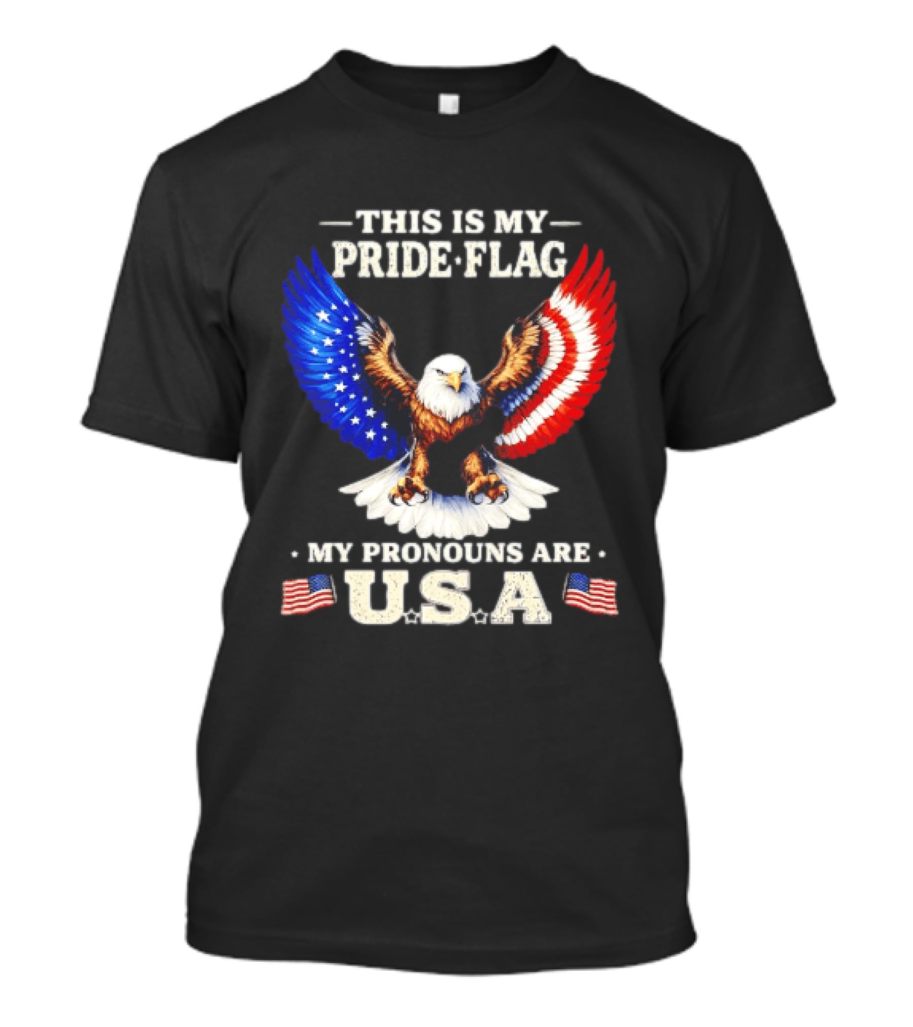 This Is My Pride Flag American Eagle My Pronouns Are USA T-Shirt