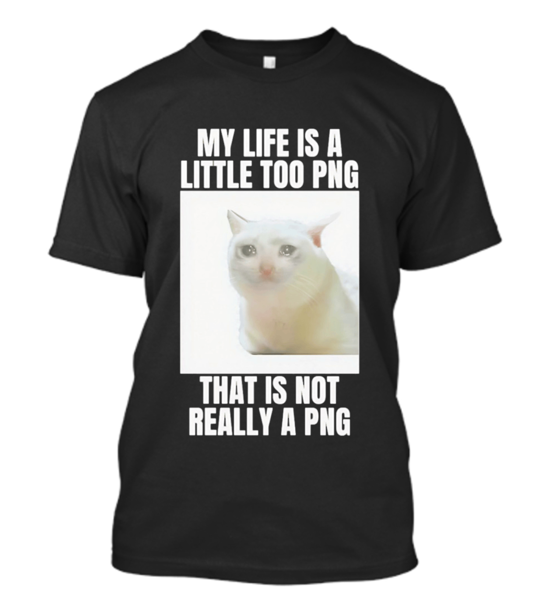 My Life Is A Little Too PNG That Is Not Really A PNG Cat Meme T-Shirt
