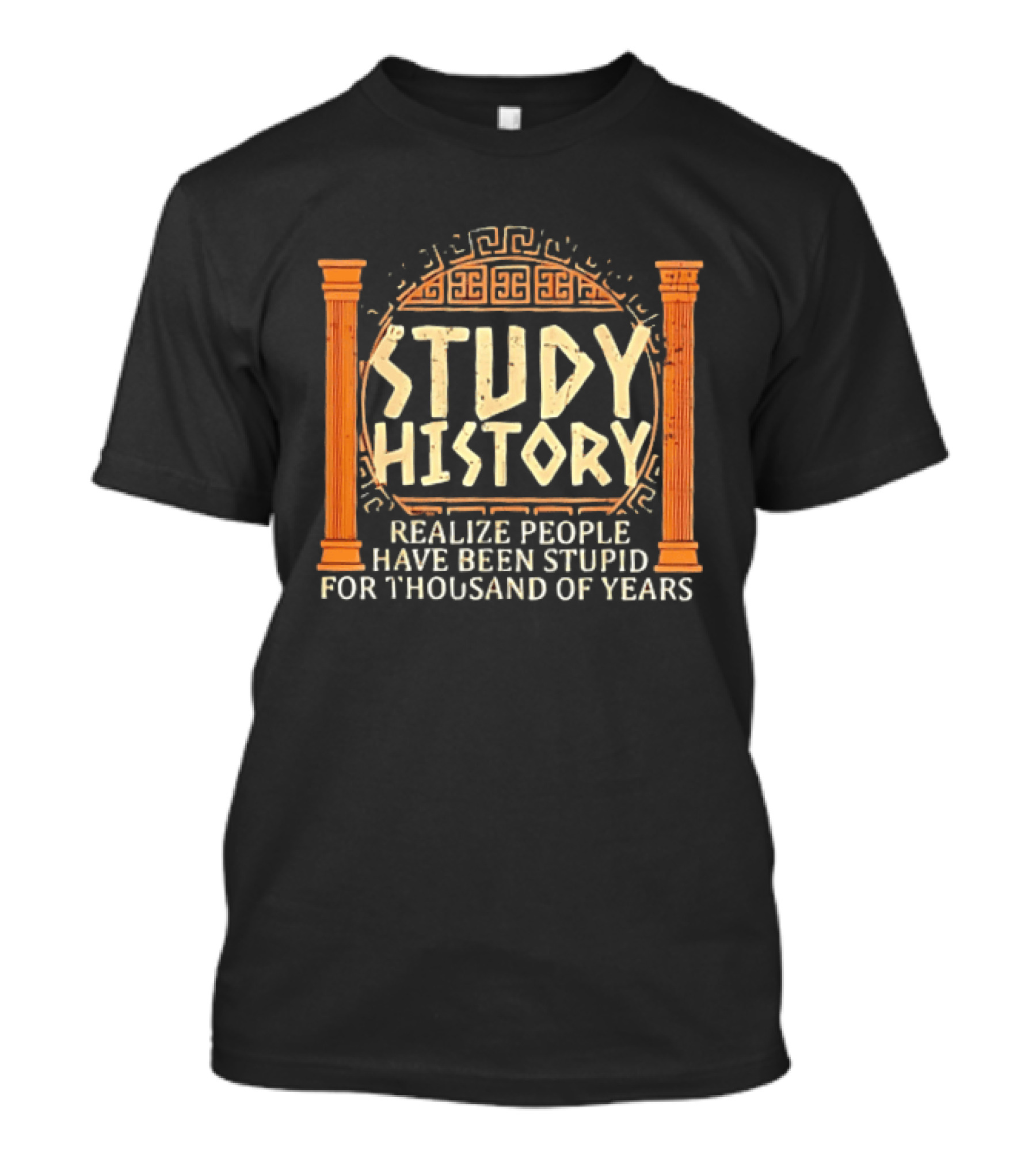 Study History Realize People Have Been Stupid For Thousands Of Years Greek Architecture T-Shirt