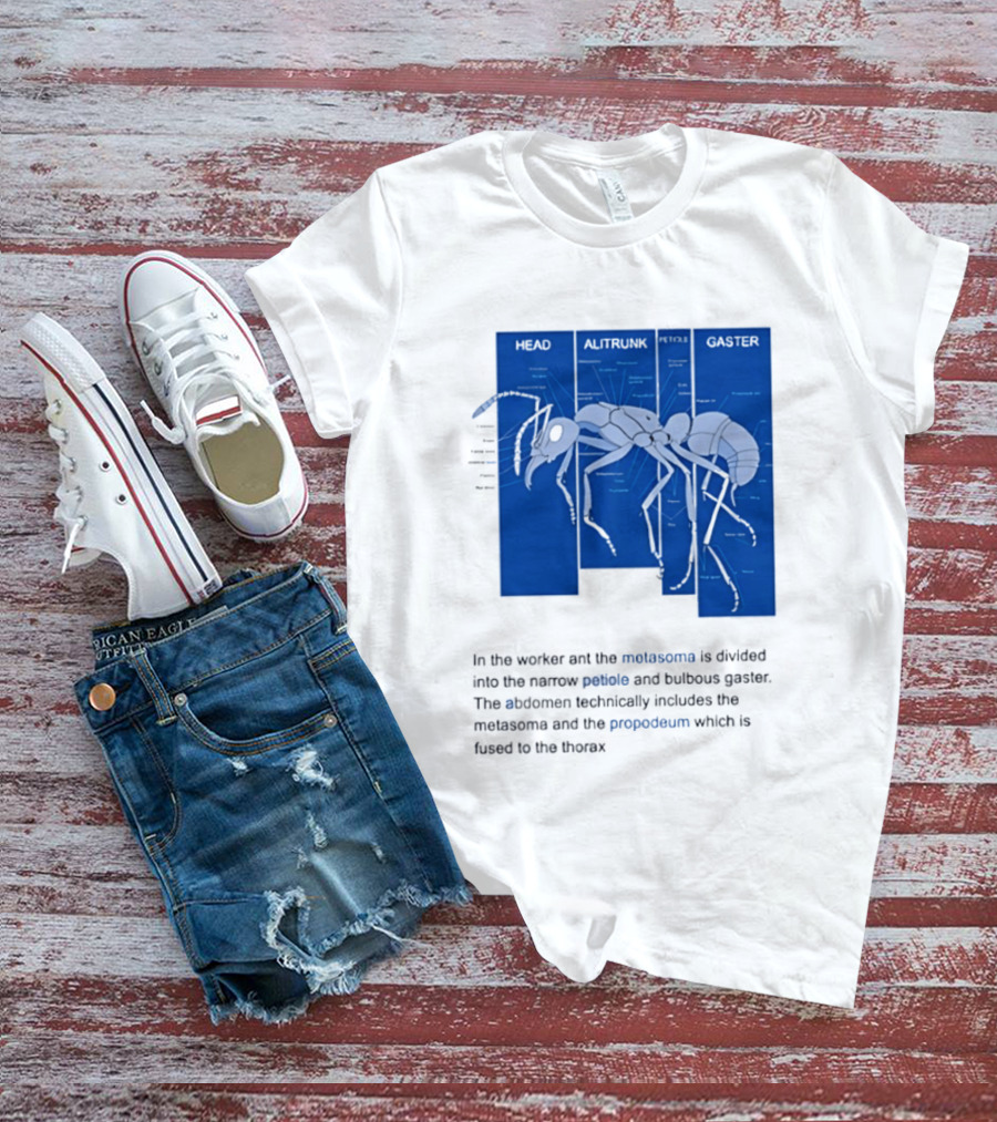 Worker Ant Diagram Head Alitrunk Gaster Metasoma Petiole Biology T-Shirt