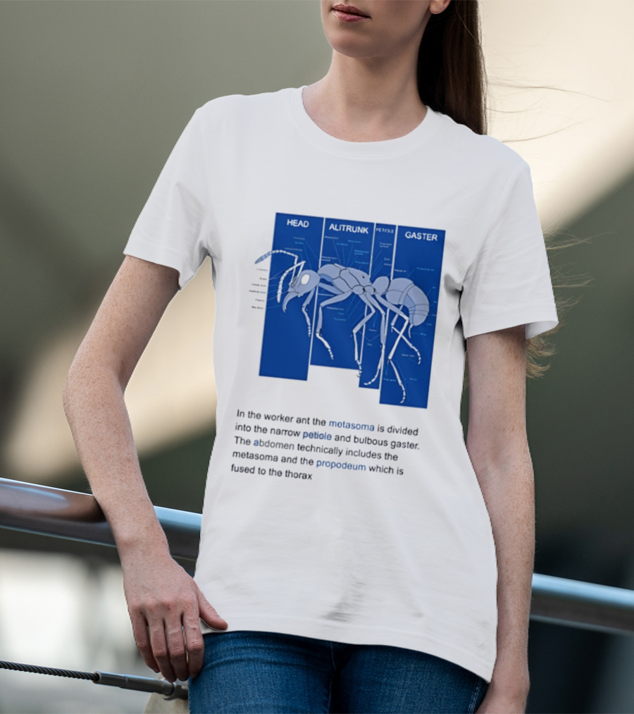Worker Ant Diagram Head Alitrunk Gaster Metasoma Petiole Biology T-Shirt