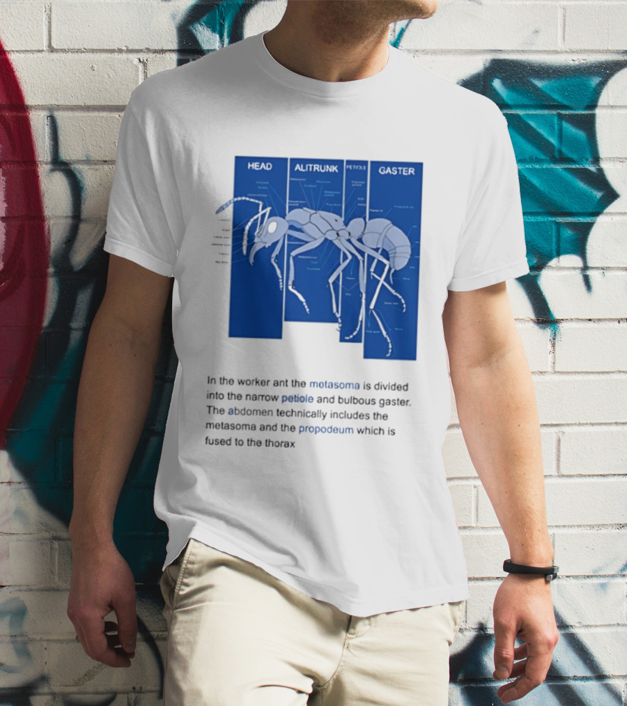 Worker Ant Diagram Head Alitrunk Gaster Metasoma Petiole Biology T-Shirt