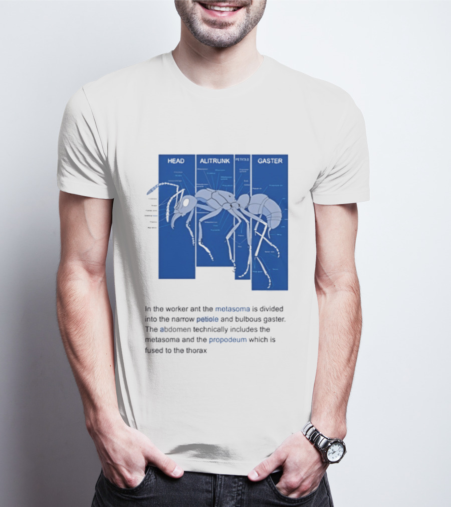 Worker Ant Diagram Head Alitrunk Gaster Metasoma Petiole Biology T-Shirt