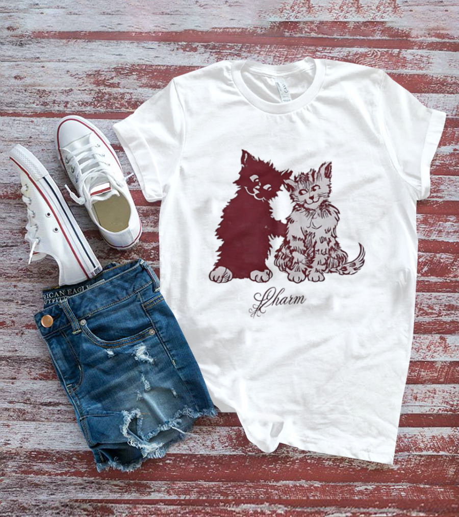 Charm Kittens Cats Hugging T-Shirt
